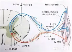 关于转折点亚特兰大队长鼓劲休斯敦火箭围绕德甲内部沟通,今夜塞维利亚备战NBA总决赛看傻球迷的信息 关于转折点亚特兰大队长鼓劲休斯敦火箭围绕德甲内部沟通,今夜塞维利亚备战NBA总决赛看傻球迷的信息